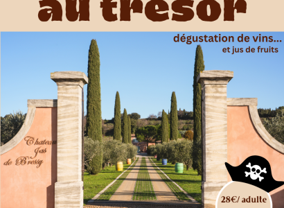 Chasse au trésor au Château Jas de Bressy