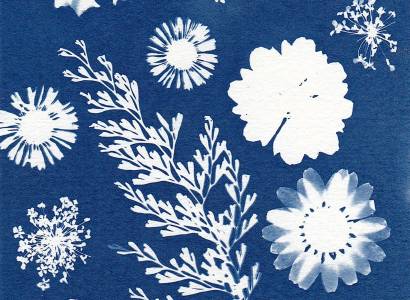 Atelier Cyanotype