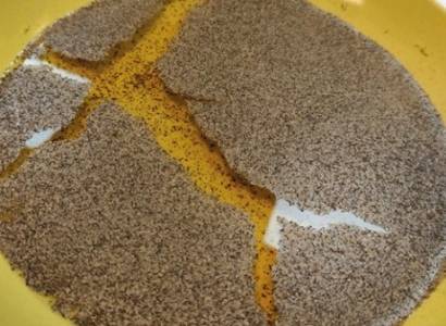 La Science dans l’assiette - Atelier scientifique
