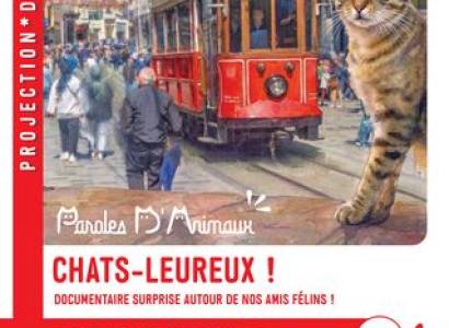 Projection documentaire : Chats-leureux !