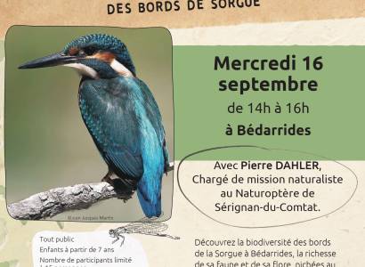 Balade naturaliste - Bords de Sorgue