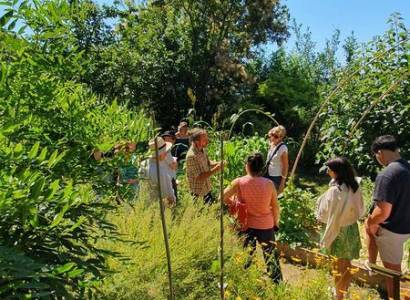 JEP 2026 - Visite guidée du jardin des plantes tinctoriales de Lauris