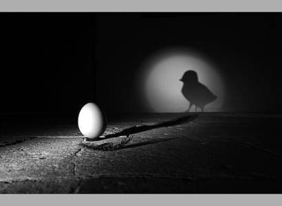 Exposition de photographies "Jeux d'ombres en Noir et Blanc"
