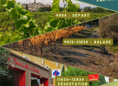 Vignobles en Scène - Balade immersive à Sablet