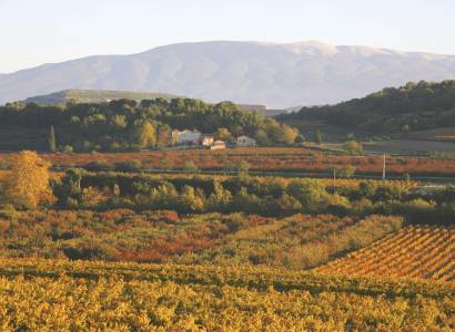 Festival Ventoux Saveurs : Conférence-débat : les terroirs, leviers de développement local