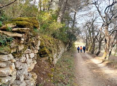 Sortie buissonnière "Sentier des ribas du Vieil-Oppède"