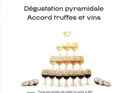 Dégustation Pyramidale - Domaine du Faucon Doré