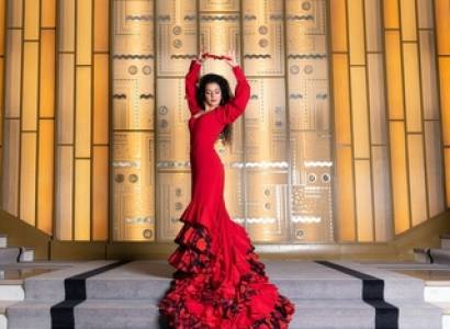Noche de Arte Flamenco