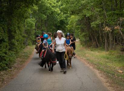 Promenade découverte à poney