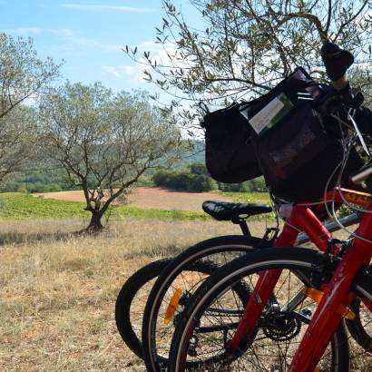 Boucle découverte à vélo : Sur le Pays d'Aigues à vélo (est)