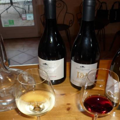 Introduction to wine tasting at Domaine Beauvalcinte