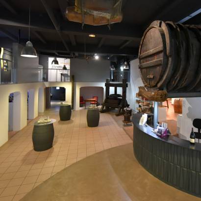 Tour of the wine cellar and prestige tasting