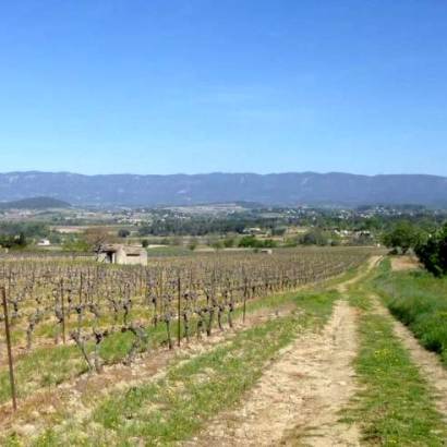 Mountianbikeroute n°28 – Route tussen de wijngaarden