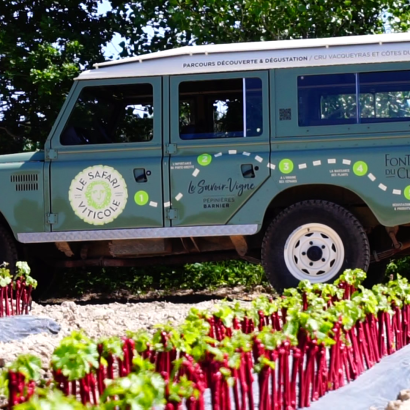 Safari viticole en Land Rover - Domaine Fontaine du Clos