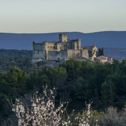 Visitez le Château du Barroux