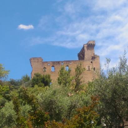 Journées du Patrimoine : Châteauneuf-du-Pape, des vignes au château