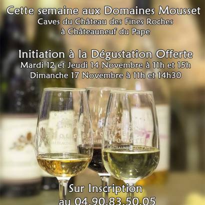 Initiation à la dégustation offerte aux Domaines Mousset