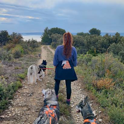 Randonnée avec des chiens de traineaux et cani randonnée