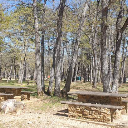 The Defends Woods Picnic Area