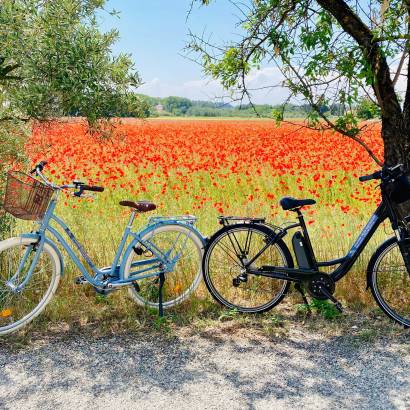 Orange Bike Via Venaissia