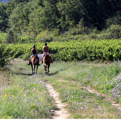 Cheval & Nature : Découverte du Luberon à cheval version Luxe