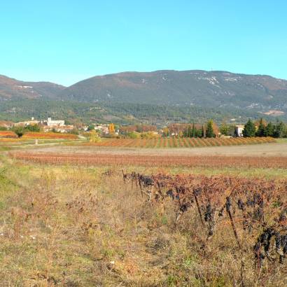 Cucuron Wine Trail