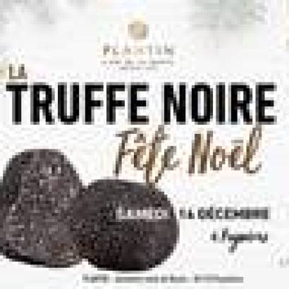 Plantin fête Noël autour de la truffe noire