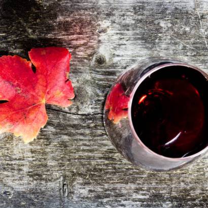 SCEA Domaine Lou Frejau