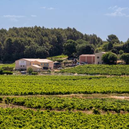 Portes Ouvertes du Domaine viticole Le Collet Vert à Pertuis