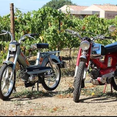 Vintage escape on a moped at Domaine Vintur