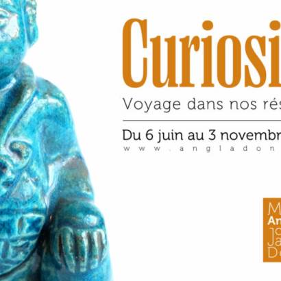 Visites commentées de l'exposition Curiosité. Voyage dans les réserves du musée Angladon
