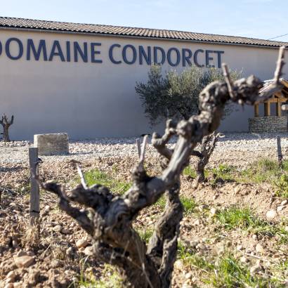 Wine tourism at Domaine Condorcet