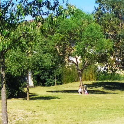 Ateliers pour tout-petits amoureux de la nature, et en particulier des arbres !