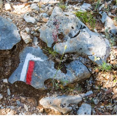 Randonnée découverte de la Montagne des Chèvres