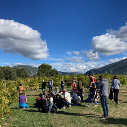 Festival Ventoux Saveurs : Balade contée dans les vergers de grenadiers