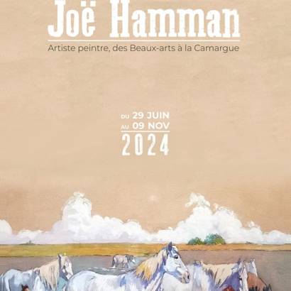 Joë Hamman, Artiste peintre, des Beaux-Arts à la Camargue