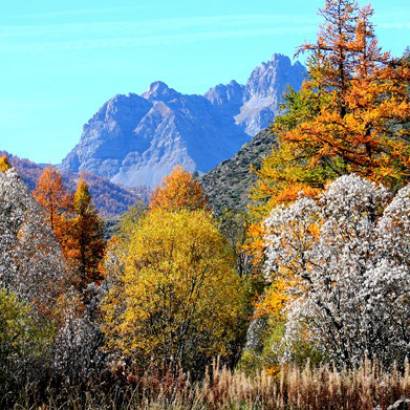 Paysages de montagne - Exposition