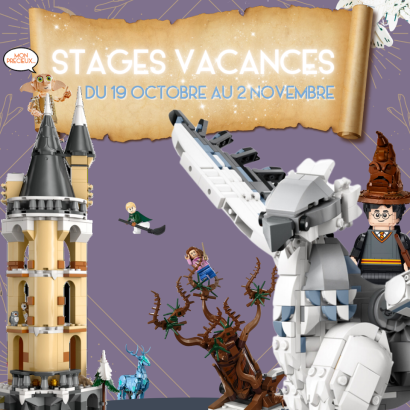 Stages vacances LEGO®️