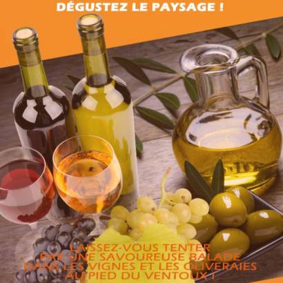 Dégustation de vin et d'huile d'olive