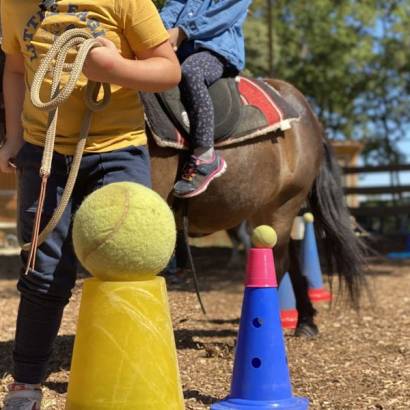 Ateliers ludiques des vacances de Noël à la ferme Lucky Horse