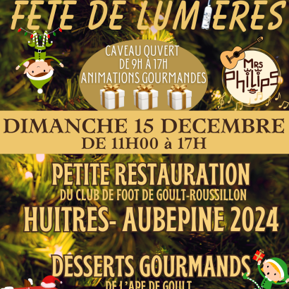 Fête de Lumières