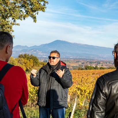 Explore and visit of the terroirs of Châteauneuf- du-Pape