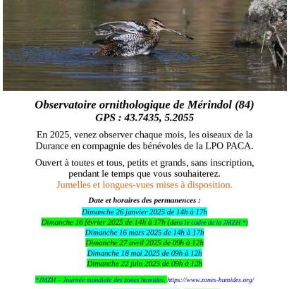 Observation des Oiseaux de la Durance à l'observatoire ornithologique de Mérindol