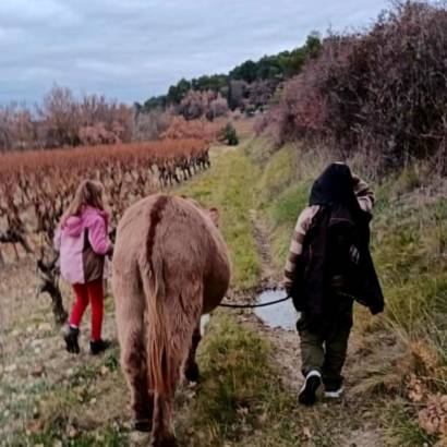 Balade avec les ânes et ateliers créatifs - programme d'animations avec Domaine des Adrès