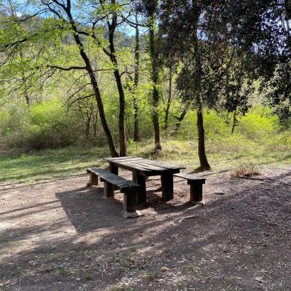 Picknickplatz Wald Busch