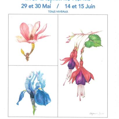 Stage d'aquarelle botanique avec Stéphanie Henao