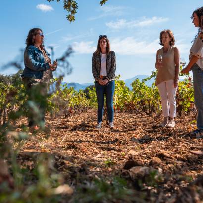 Sophrologie dans les vignes