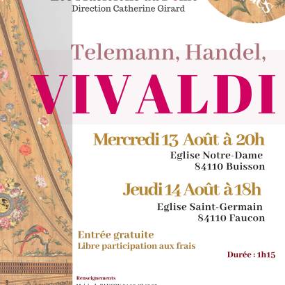Les Musiciens du Dôme' concert