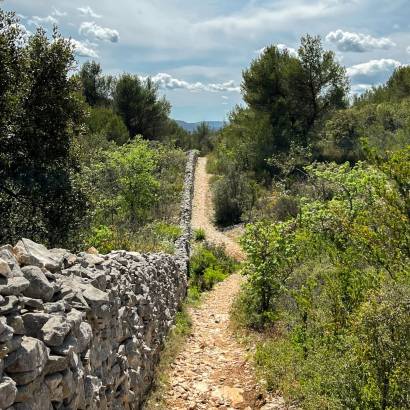 CABRIÈRES D’AVIGNON - De la Cédraie au Mur de la Peste