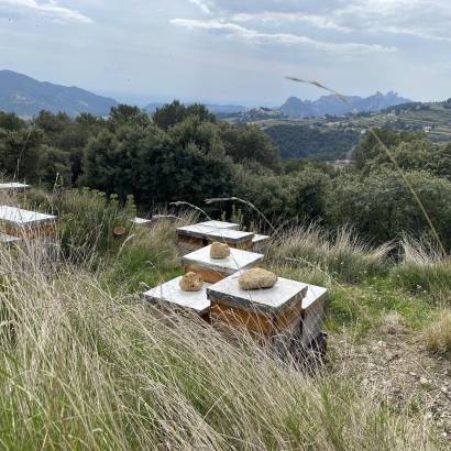 Pique-nique campagnard au Rucher des Dent'ailes